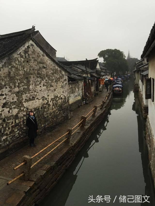 虫虫助手下载