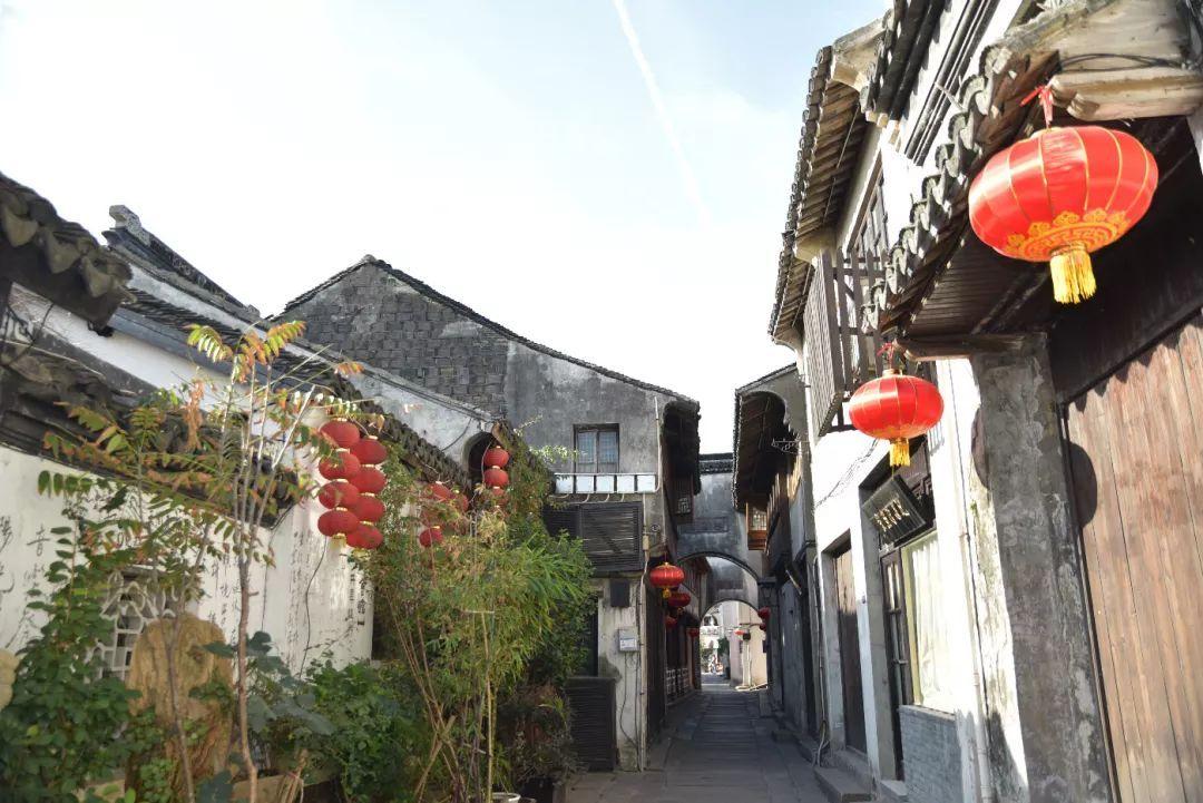 奥莉的夏威夷之旅