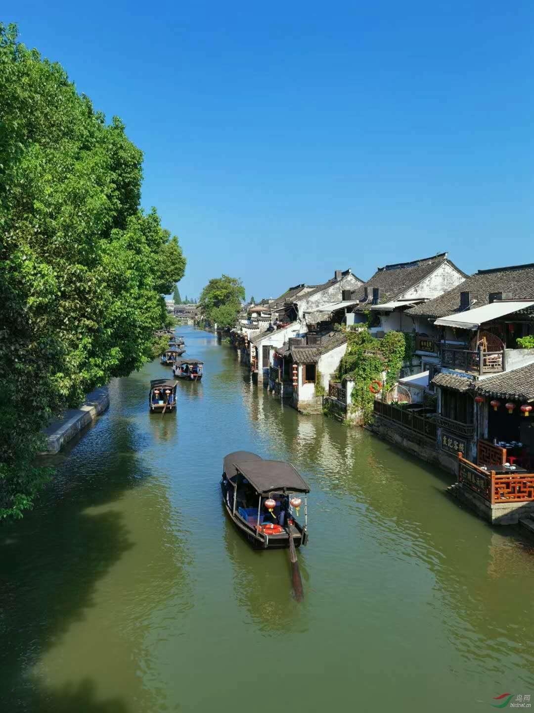 数海信息盘中异动 早盘大幅上涨5.29%